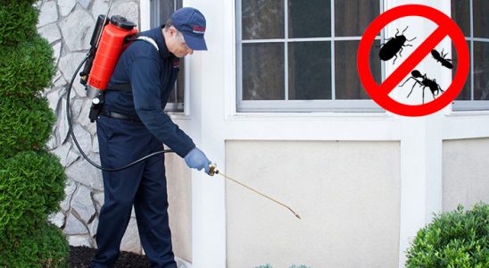 Kulp Böcek İlaçlama böcek ilaçlama ve haşere kontrolü — ilaclama-tr.com